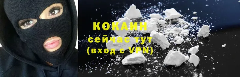 Cocaine FishScale  купить  сайты  Кяхта 