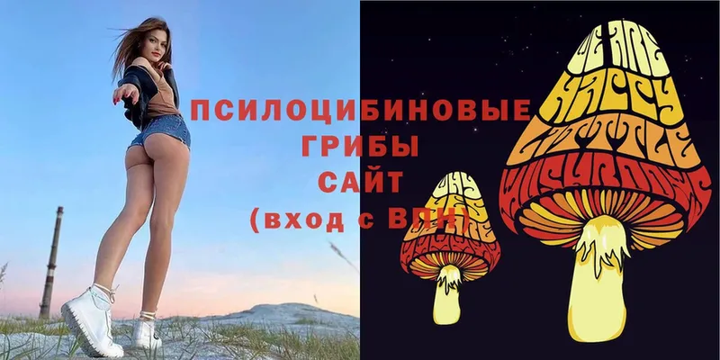 Псилоцибиновые грибы Psilocybe  Кяхта 